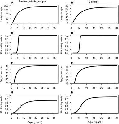Demographic Consequences of Small-Scale Fisheries for Two Sex-Changing Groupers of the Tropical Eastern Pacific
